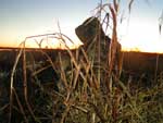 Sunrise on the levee
