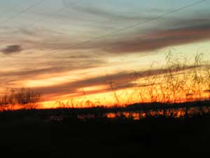 sunrise